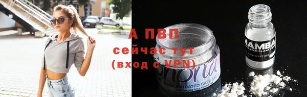 Альфа ПВП Майский