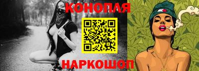 шишки Дубна