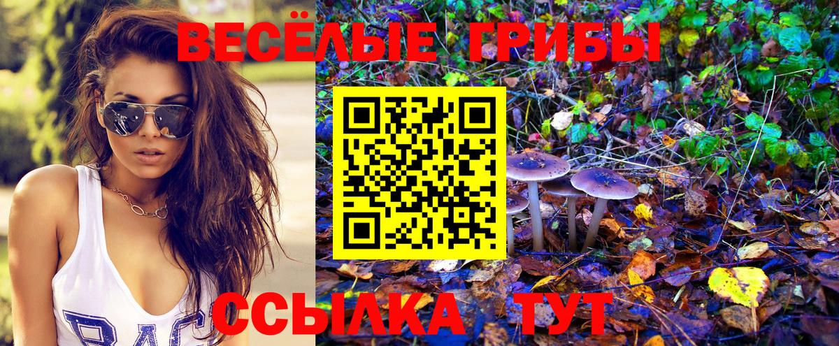 Галлюциногенные грибы мухоморы Владивосток