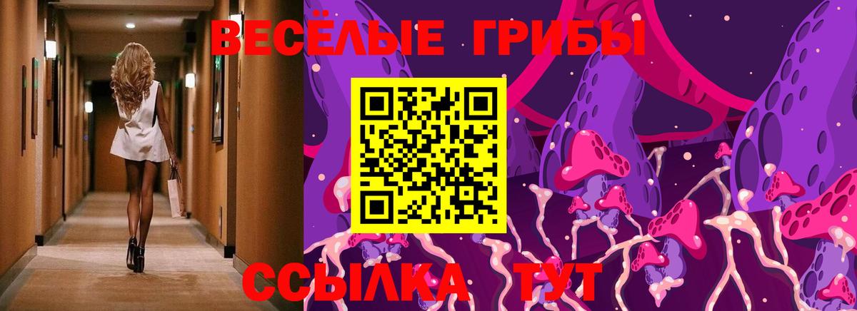 Владивосток  Псилоцибиновые грибы Psilocybine cubensis  Вход с VPN 